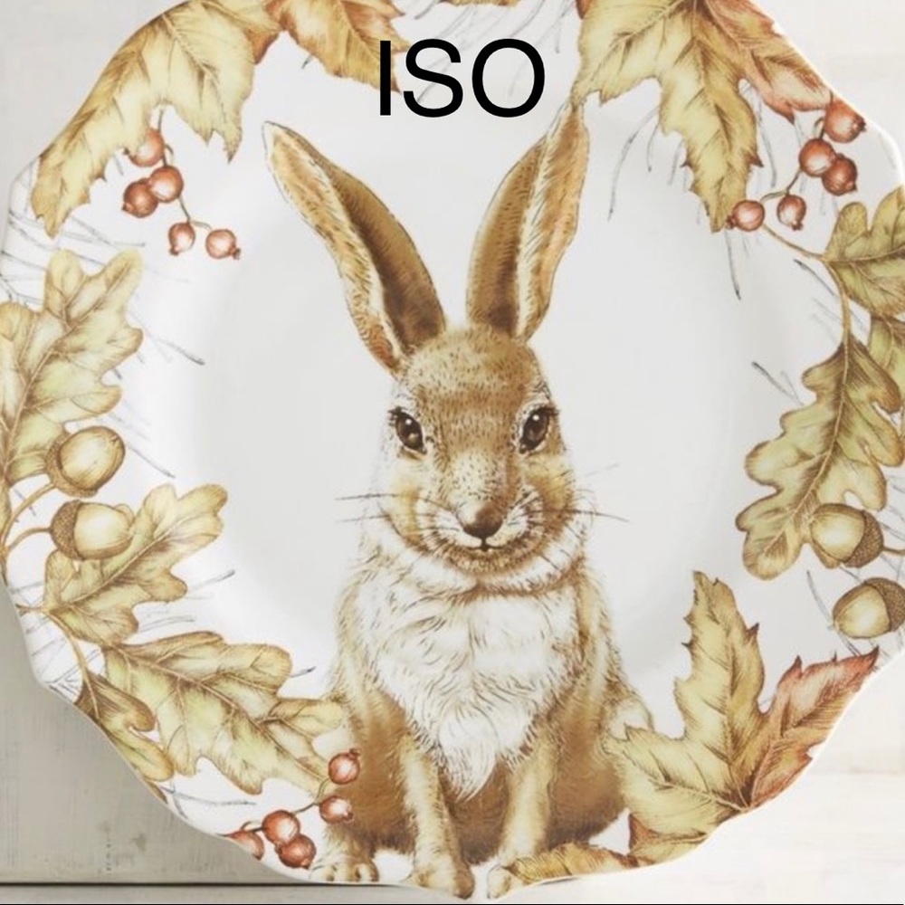 ISO Pier 1 Mazey plates of Chloe rabbit